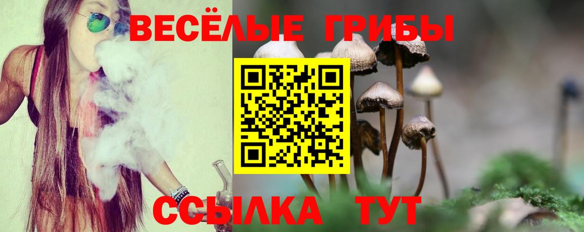 Псилоцибиновые грибы мицелий Валуйки